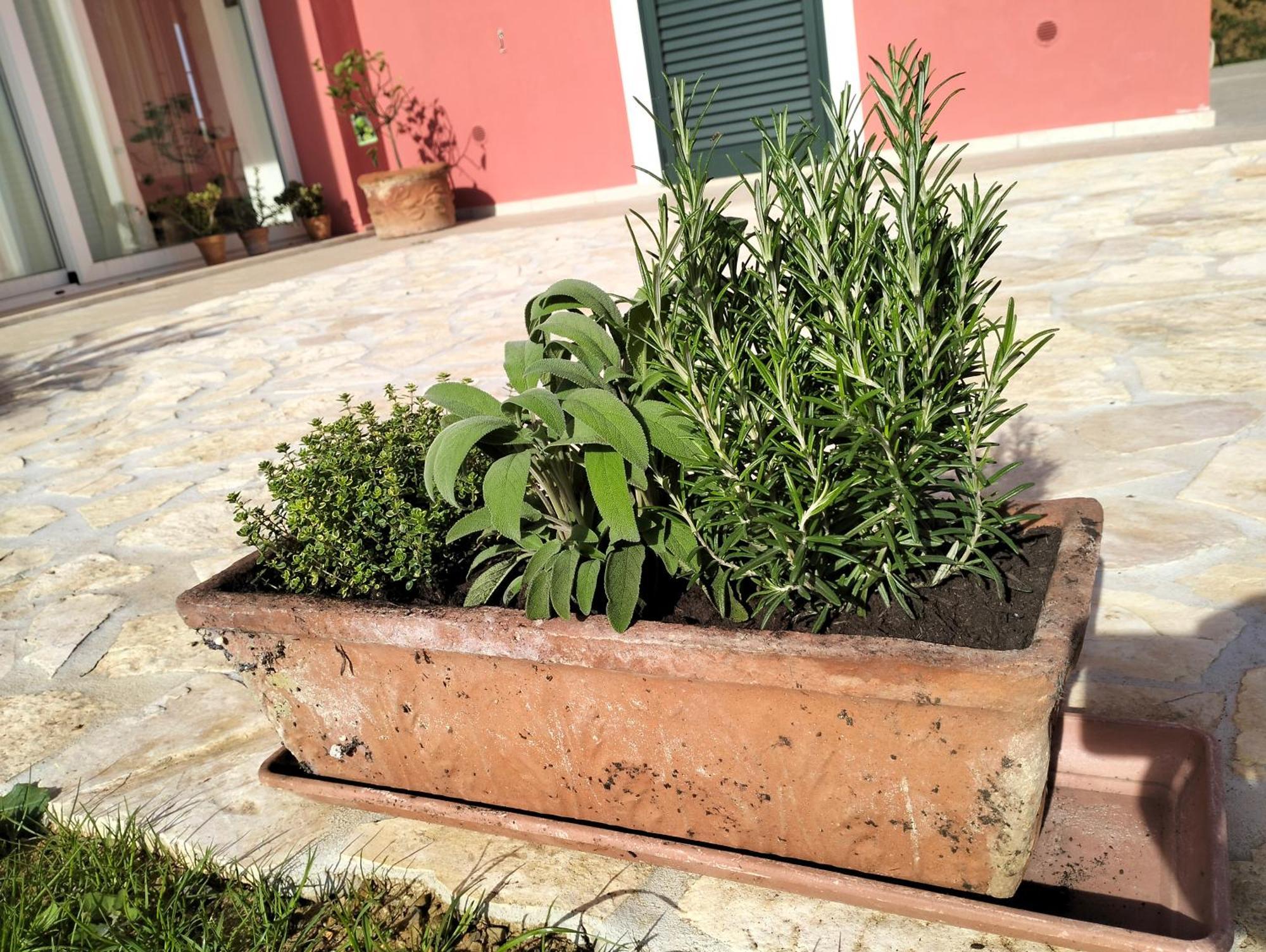 Villetta Fedora Immersa Nel Verde Cecina  Exterior photo